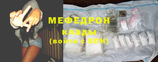 индика Медвежьегорск