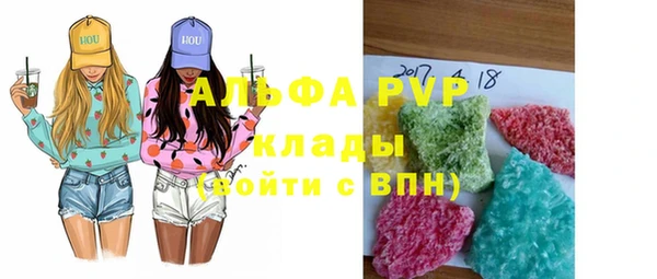 индика Медвежьегорск