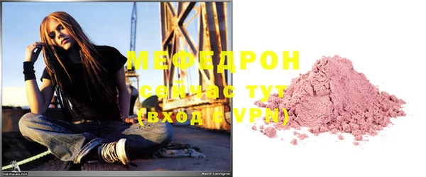 индика Медвежьегорск
