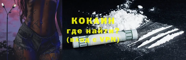 индика Медвежьегорск