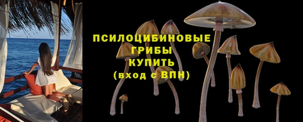 индика Медвежьегорск