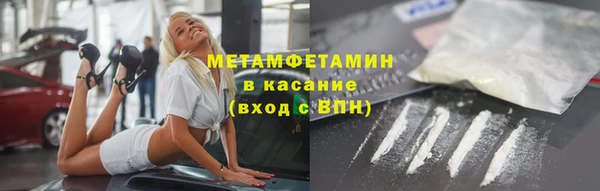 индика Медвежьегорск