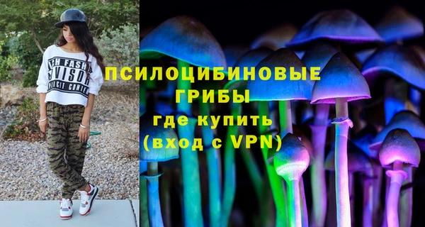индика Медвежьегорск