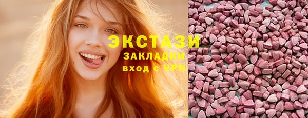 индика Медвежьегорск