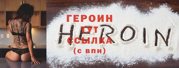 индика Медвежьегорск