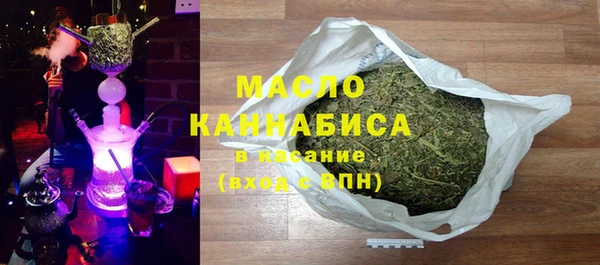 индика Медвежьегорск