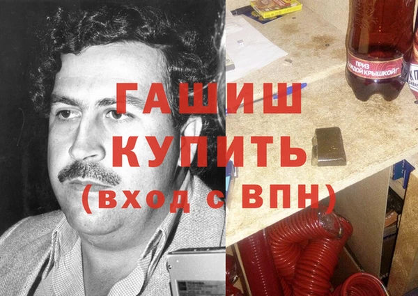 индика Медвежьегорск