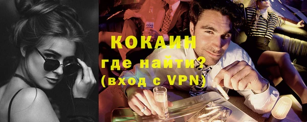 индика Медвежьегорск