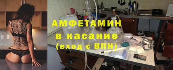 индика Медвежьегорск