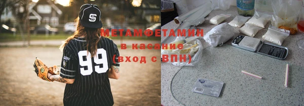 индика Медвежьегорск