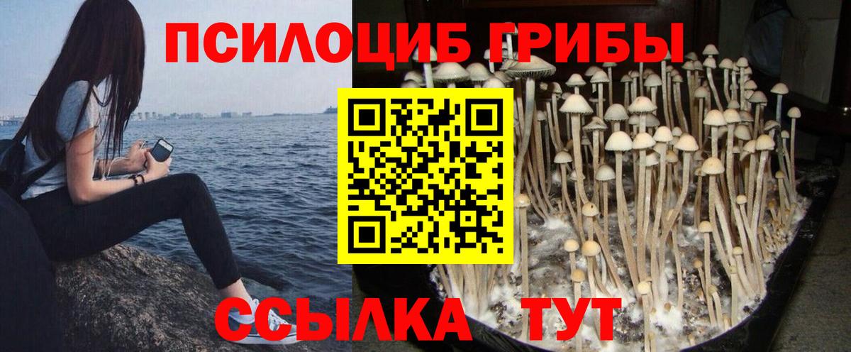 Псилоцибиновые грибы Cubensis  Псилоцибиновые грибы Magic Shrooms  Вход с VPN  Кисловодск 